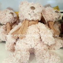 Teddy Bear ( Type A to D )