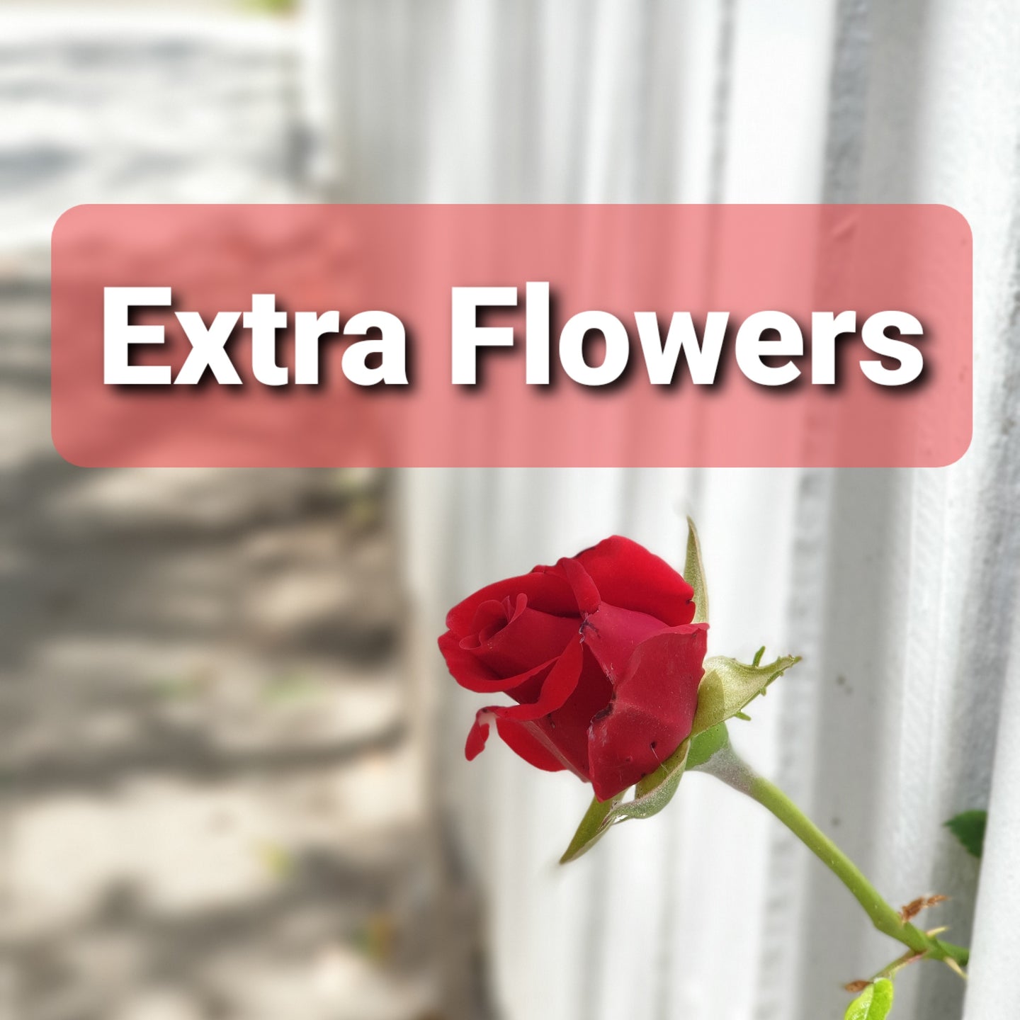 Extra Flowers